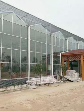 江西省贛州贛縣江口鎮(zhèn)，全玻璃溫室
