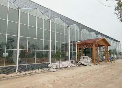 江西省贛州贛縣江口鎮(zhèn)，全玻璃溫室